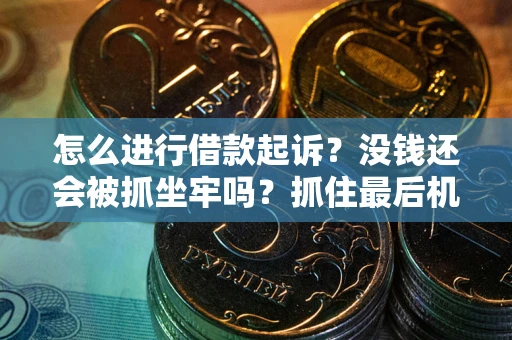 济南怎么进行借款起诉？没钱还会被抓坐牢吗？抓住最后机会！