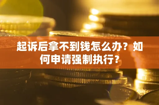 济南起诉后拿不到钱怎么办？如何申请强制执行？