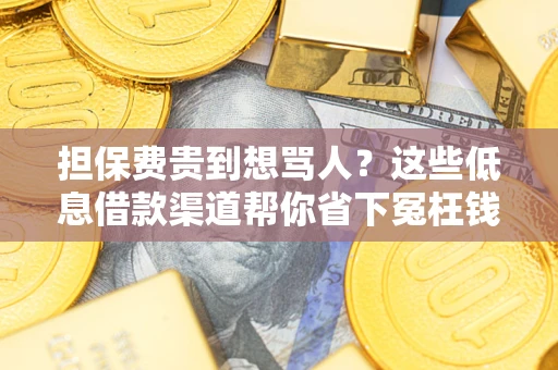 济南担保费贵到想骂人？这些低息借款渠道帮你省下冤枉钱